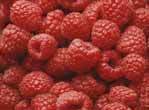 raspberry